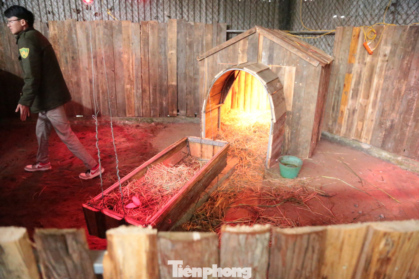 Bên trong có khu chăm sóc, được quây tôn, ván gỗ kín.