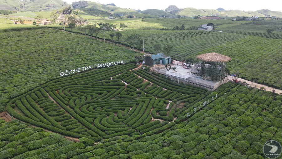 Sơn La thành lập thị xã Mộc Châu trên cơ sở huyện Mộc Châu. Ảnh: TOP Mộc. Sơn La thành lập thị xã Mộc Châu trên cơ sở huyện Mộc Châu. Ảnh: TOP Mộc.