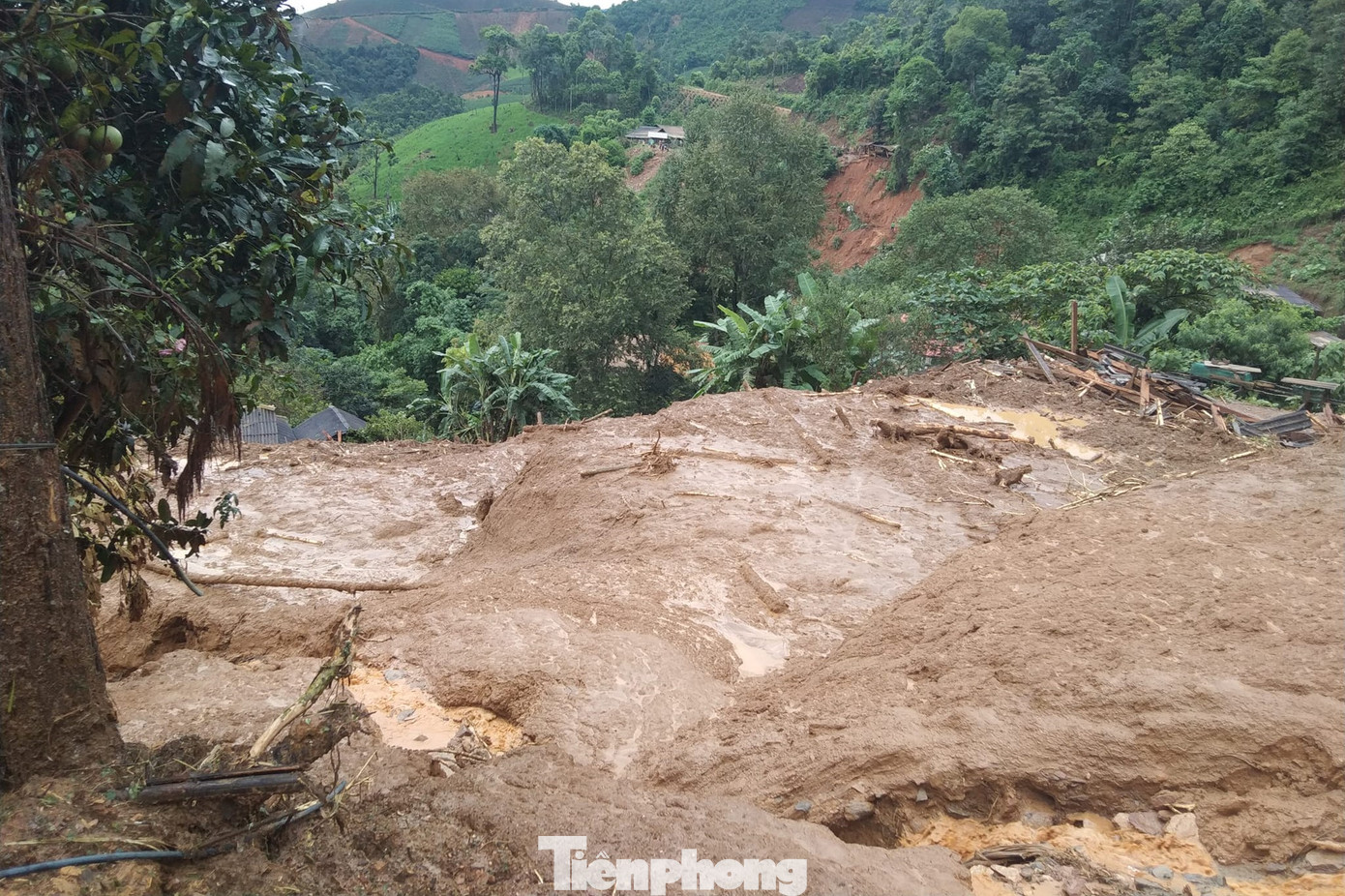 Trước đó, vào rạng sáng 24/7, tại bản Hua Pư và bản Pá Hốc, xã Chiềng Nơi, huyện Mai Sơn xảy ra mưa lớn dẫn đến lũ và sạt lở đất.