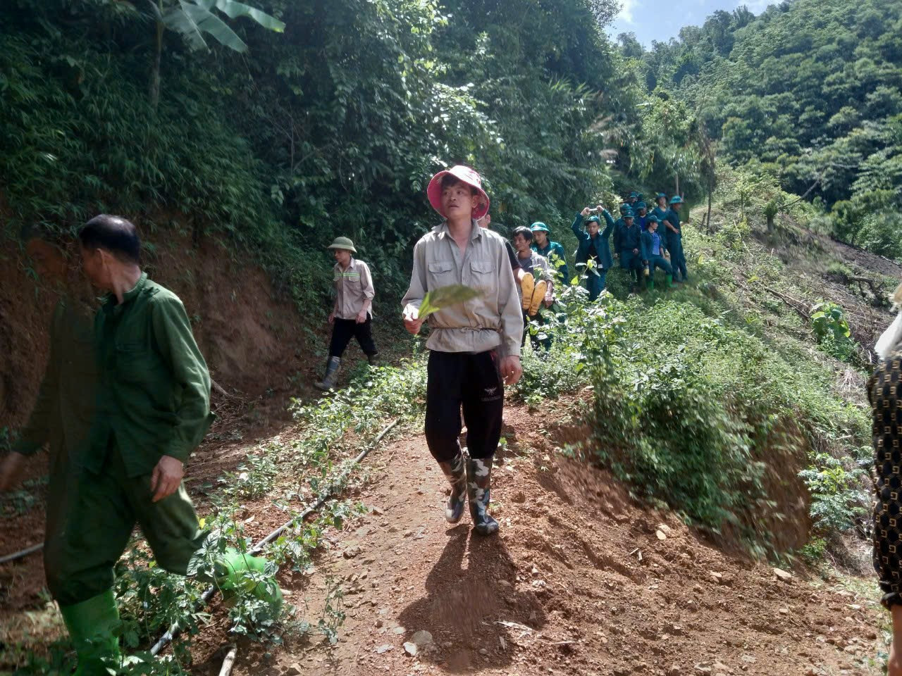 Hơn 100 người được huy động tìm người phụ nữ mất tích trong rừng.