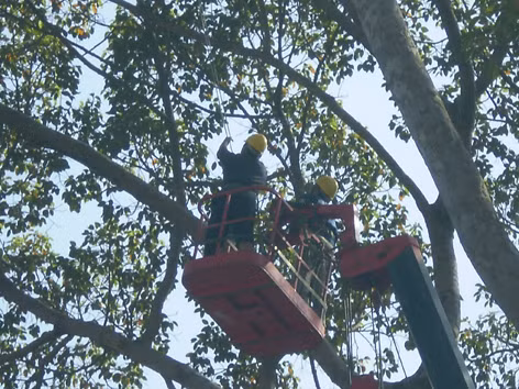 Người lao động trong 4 doanh nghiệp công ích làm việc trong điều kiện nguy hiểm, độc hại nhưng thu nhập thấp hơn hàng chục lần so với viên chức quản lý. Ảnh: LT