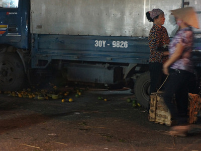 Những loại hoa quả vứt dưới gầm xe này sẽ được nhặt nhạnh và bán với giá bèo