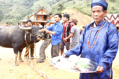 Trâu được tế sống bằng một chén rượu, chén gạo, bát xôi – những vật phẩm gần gũi và gắn bó với cuộc sống người dân