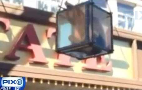 Ảo thuật gia suýt chết ngạt khi đang trình diễn ảnh 2