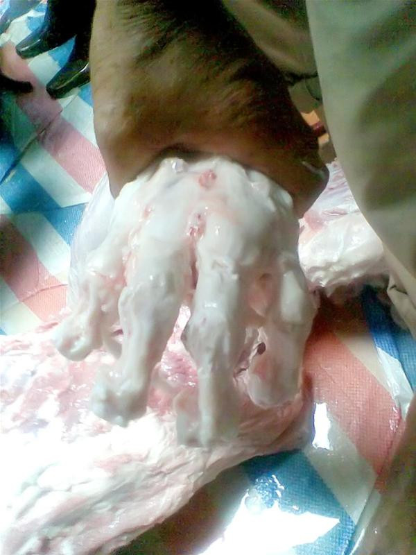 Ông ba mươi chuẩn bị được đưa vào luyện cao