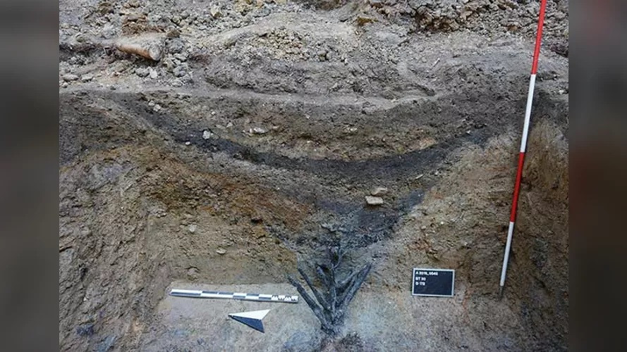 Những chiếc đinh gỗ thời La Mã được tìm thấy trong lớp đất ẩm ướt ở khu vực Bad Ems của Đức.