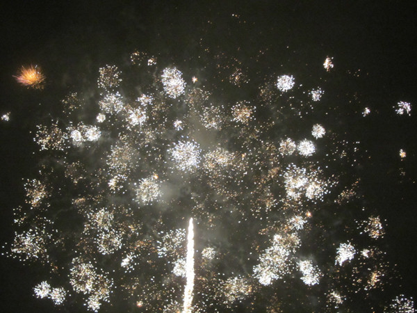 Hình ảnh pháo hoa bung nở như ai tung hứng hoa cải lên trời.