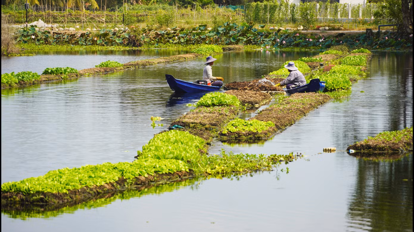 Mô hình Trồng rau bè thuỷ sinh cùa anh Nguyễn Văn Đắc ở ấp 3, xã Mỹ An, huyện Thủ Thừa, tỉnh Long An. Ảnh: Mộng Đào - Trung Hiếu (Báo Long An) Mô hình Trồng rau bè thuỷ sinh cùa anh Nguyễn Văn Đắc ở ấp 3, xã Mỹ An, huyện Thủ Thừa, tỉnh Long An. Ảnh: Mộng Đào - Trung Hiếu (Báo Long An)