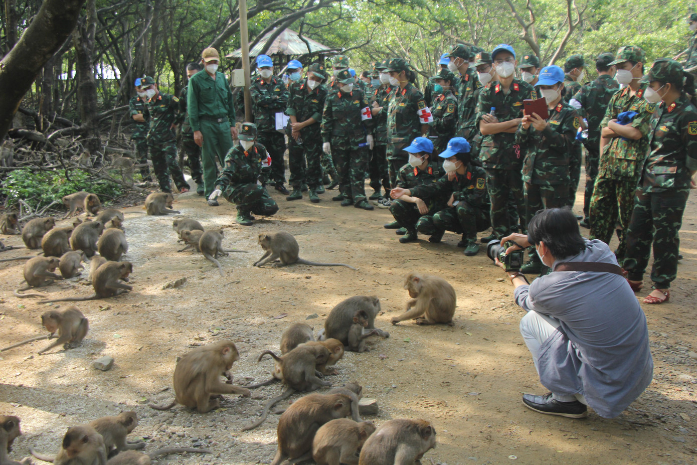 Hầu hết là những người lần đầu đến với Khu dự trữ sinh quyển Cần Giờ nói chung và Đảo Khỉ nói riêng, các y bác sĩ thích thú trước đàn khỉ đông đúc và rất dạn dĩ này. Hầu hết là những người lần đầu đến với Khu dự trữ sinh quyển Cần Giờ nói chung và Đảo Khỉ nói riêng, các y bác sĩ thích thú trước đàn khỉ đông đúc và rất dạn dĩ này.