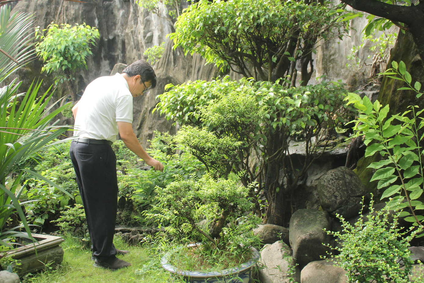 Sau những ngày làm việc, khoảng thời gian cuối tuần, TS. Nguyễn Thanh Tùng lại trở về với khu vườn thanh bình, đậm chất quê hương của mình để thư giãn, vui thú điền viên.