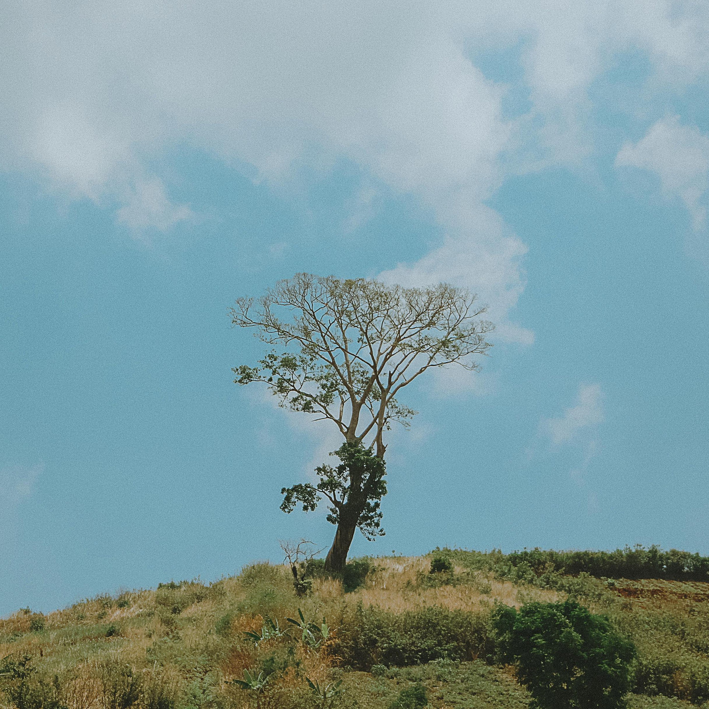 Bầu trời trong trẻo luôn là niềm cảm hứng sáng tác bất tận với nữ nhiếp ảnh gia 9x Bầu trời trong trẻo luôn là niềm cảm hứng sáng tác bất tận với nữ nhiếp ảnh gia 9x