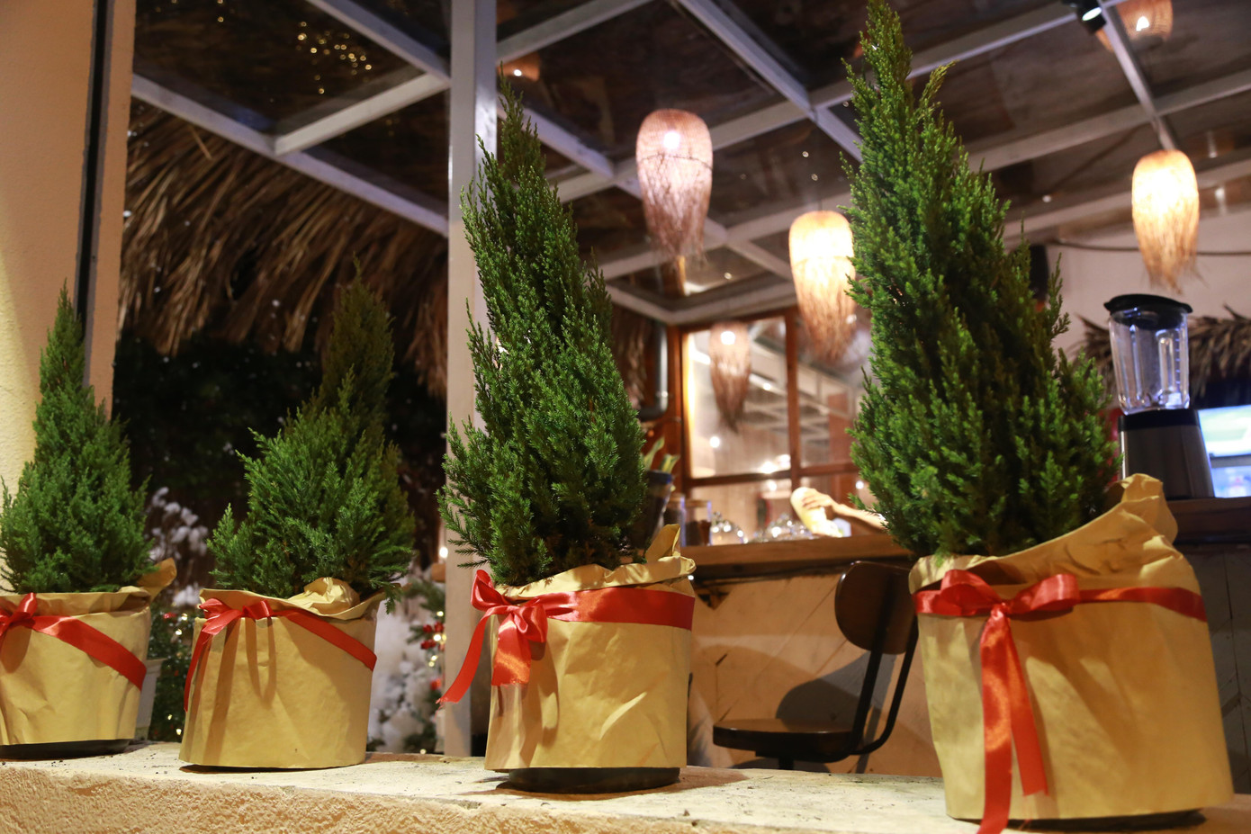 &quot;Trend (xu hướng) Noel năm nay của quán khá mới và đa dạng, phù hợp thị hiếu nên được nhiều bạn trẻ thích thú đến chụp hình &quot;sống ảo&quot;, Minh Trí nói và cho biết thêm, do ảnh hưởng của dịch bệnh nên quán quyết định trang trí sớm hơn mọi năm để mọi người có thể đi chơi sớm, tránh tập trung nhiều trong thời điểm cận kề Giáng sinh.