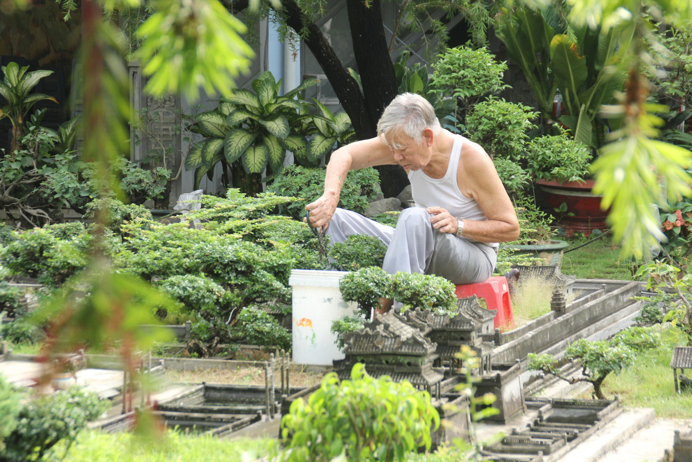 Thân phụ TS. Tùng cũng là người hỗ trợ con trai chăm sóc, bảo tồn công trình đặc biệt này