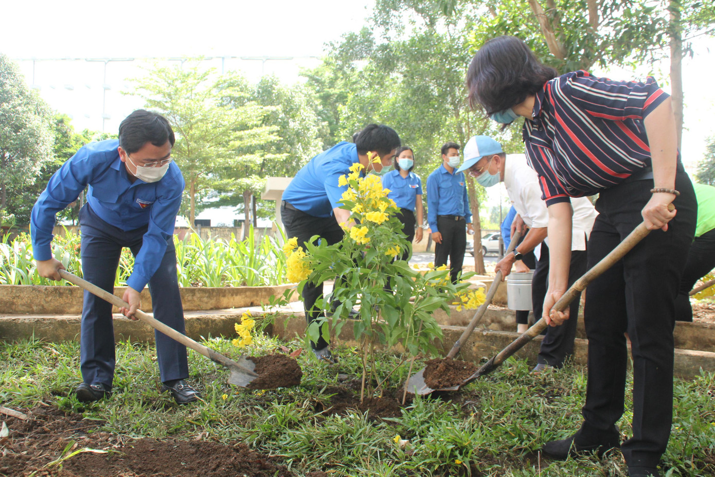 Trồng cây xanh tại khuôn viên chung cư