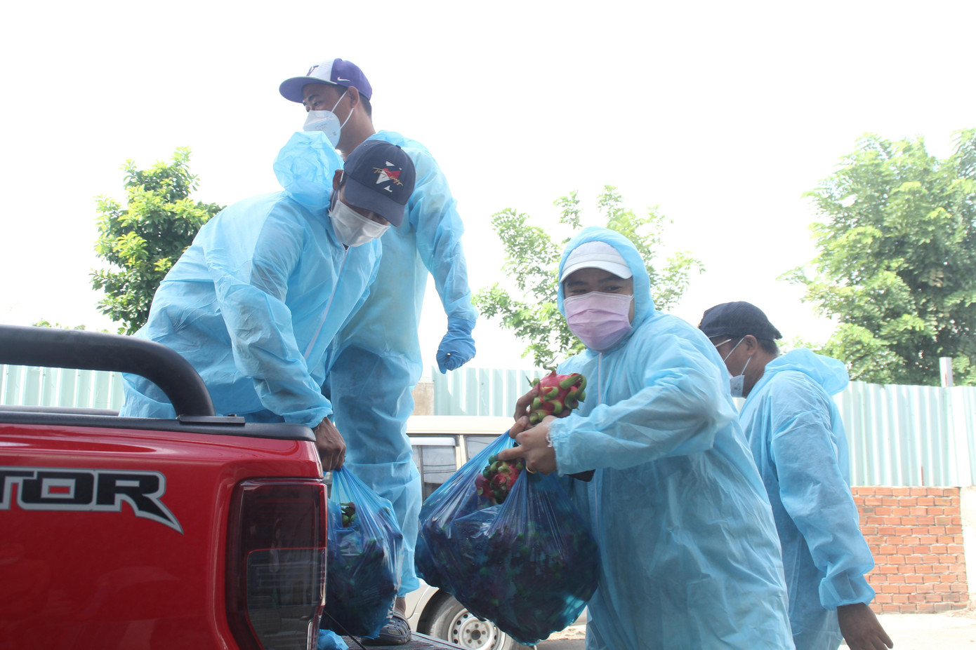 Sau khi chất đầy hàng nông sản lên xe tại một điểm tập kết, nhóm di chuyển đến nhà của bà Nguyễn Thị Nhung, trưởng Khu phố 3, phường Phú Mỹ. Tại đây, nhóm chuyển xuống hàng chục bịch thanh long (loại khoảng 10kg/ bịch) từ hai xe bán tải. Khoảng một tháng qua, bà Nhung tiếp nhận nhiều phần quà nông sản từ đội xe nghĩa tình này để phân phát lại cho 1.308 hộ dân trong khu phố. Sau khi chất đầy hàng nông sản lên xe tại một điểm tập kết, nhóm di chuyển đến nhà của bà Nguyễn Thị Nhung, trưởng Khu phố 3, phường Phú Mỹ. Tại đây, nhóm chuyển xuống hàng chục bịch thanh long (loại khoảng 10kg/ bịch) từ hai xe bán tải. Khoảng một tháng qua, bà Nhung tiếp nhận nhiều phần quà nông sản từ đội xe nghĩa tình này để phân phát lại cho 1.308 hộ dân trong khu phố.