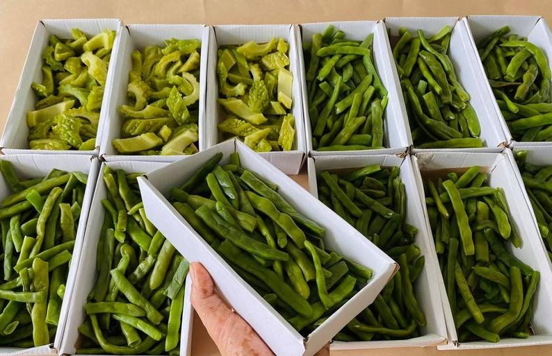 Những hộp rau dành tặng các bác sỹ Bệnh viện Chợ Rẫy trong ngày 19/7. Những hộp rau dành tặng các bác sỹ Bệnh viện Chợ Rẫy trong ngày 19/7.