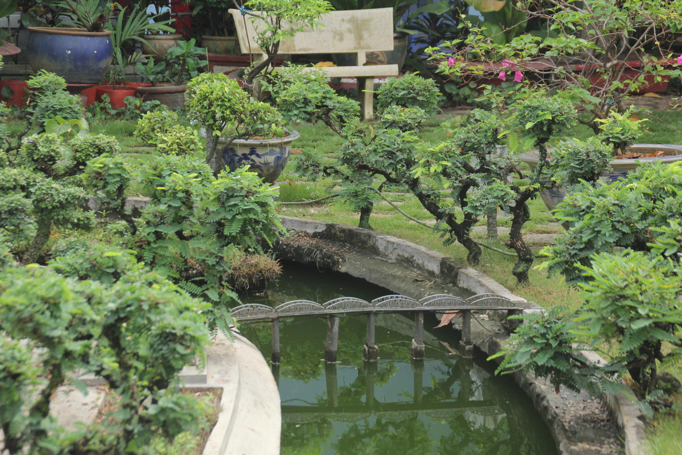 Cầu Tràng Tiền vắt qua dòng Hương giang thơ mộng