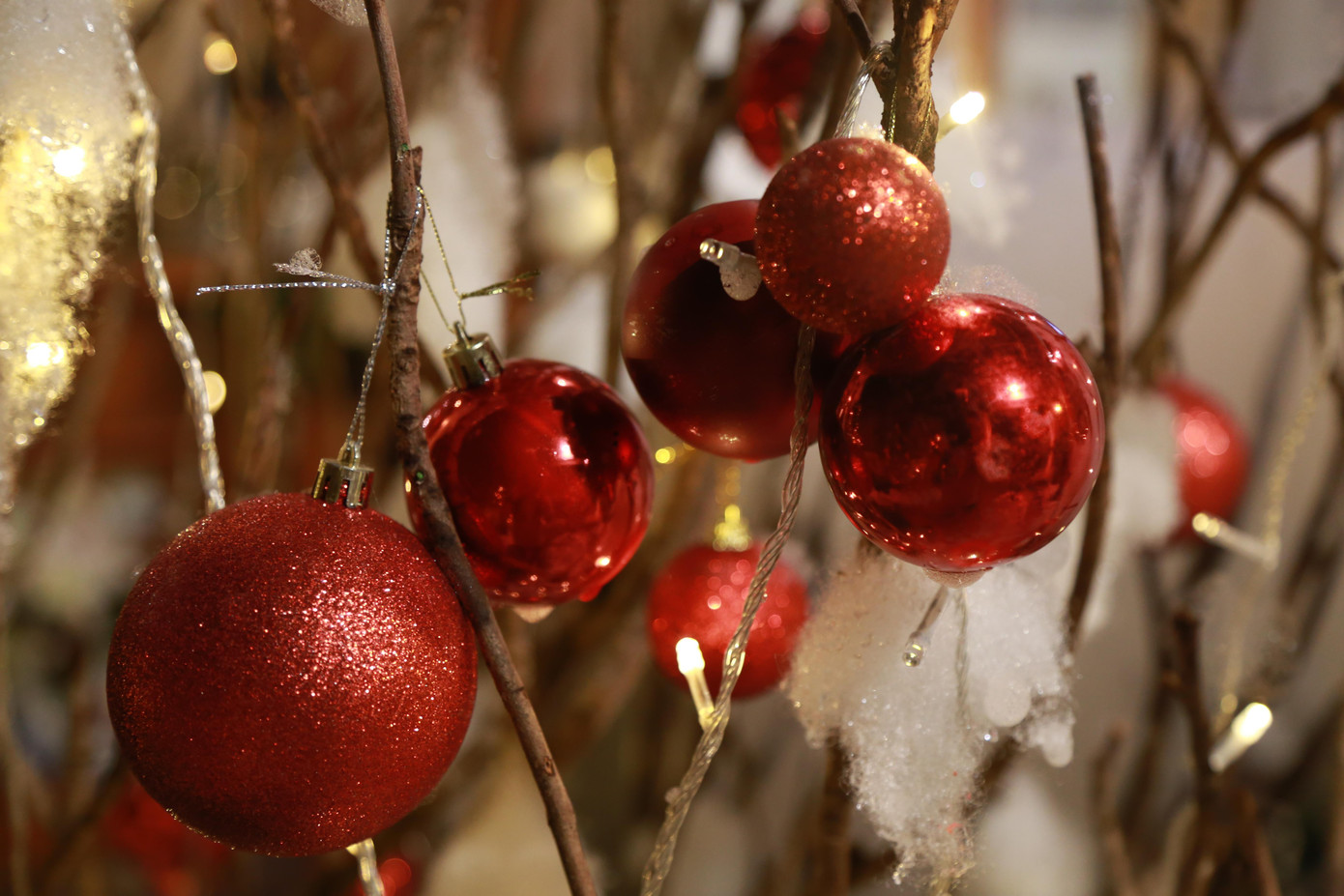 Anh Đỗ Minh Trí (trưởng ca phục vụ tại quán Khóm Coffee) cho biết quán đã bắt đầu trang hoàng từ đầu tháng 11 với việc tu sửa, dọn dẹp sau khi thành phố nới lỏng giãn cách xã hội và cho phép buôn bán tại chỗ trở lại.