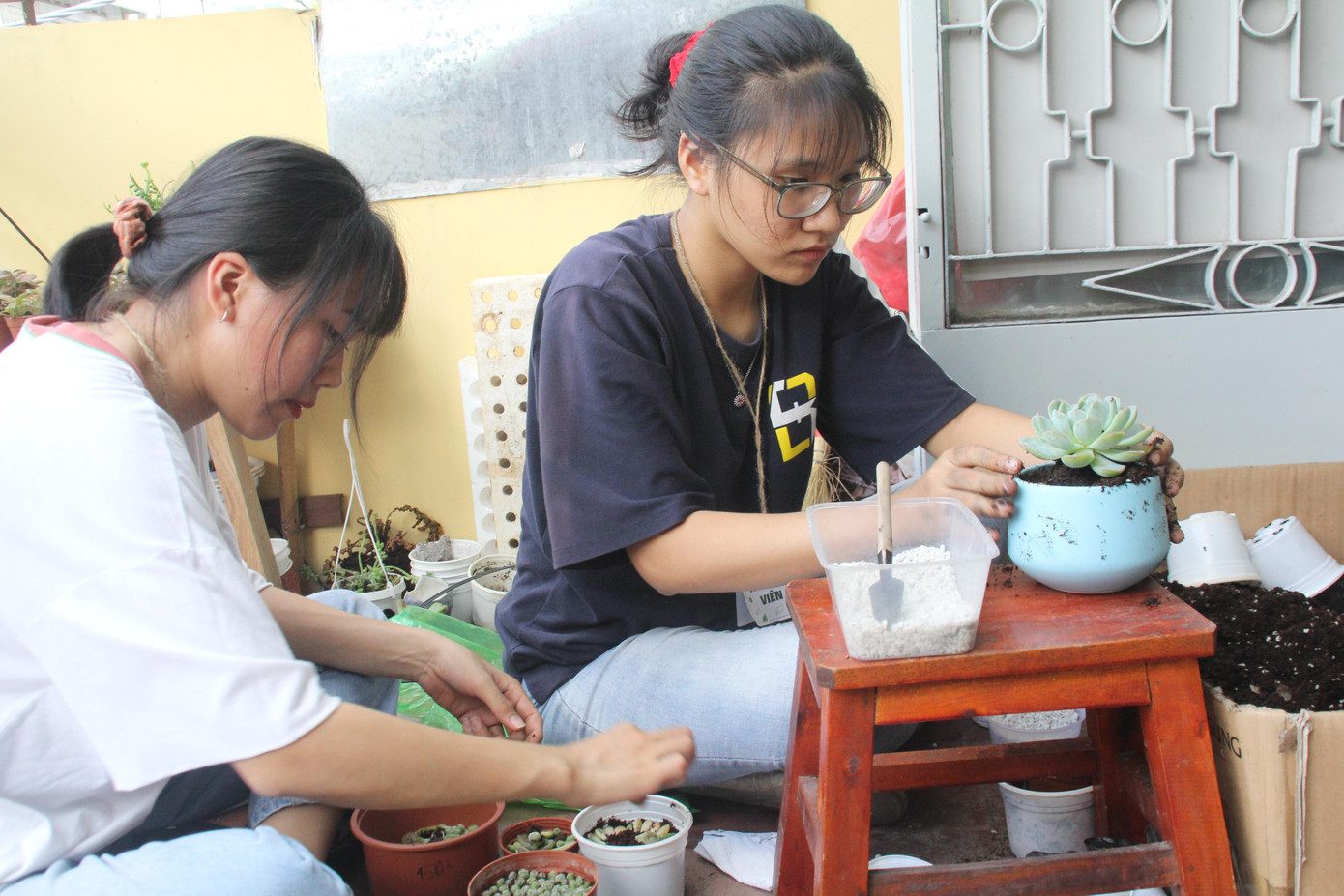 Các bạn tình nguyện viên chung tay trong chương trình