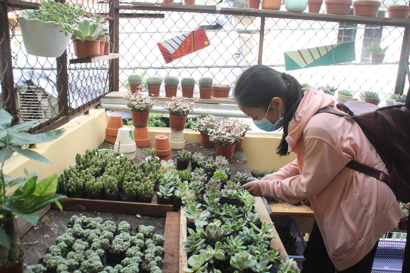 Hoạt động "đổi pin lấy cây" góp phần tích cực trong việc truyền đi thông điệp sống xanh, bảo vệ môi trường