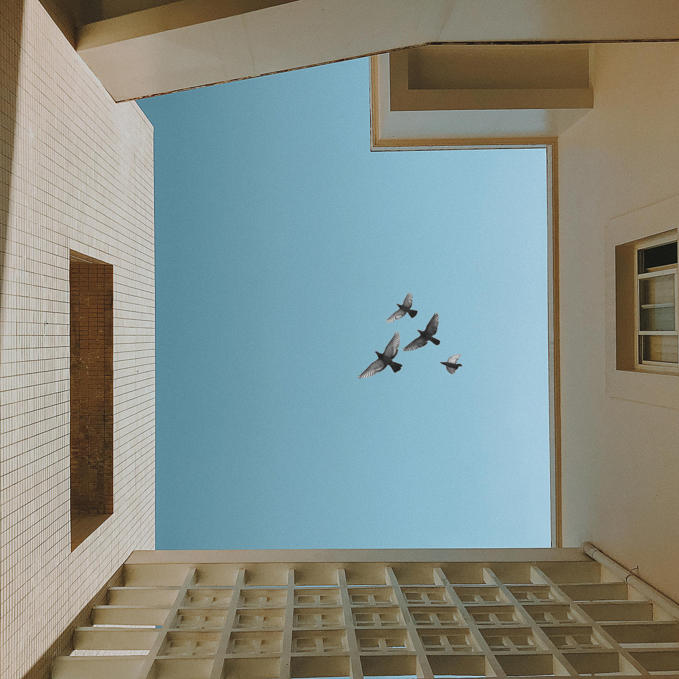 Những bức ảnh thiên nhiên của Như Ý dễ khiến người xem được thư giãn, cân bằng cảm xúc Những bức ảnh thiên nhiên của Như Ý dễ khiến người xem được thư giãn, cân bằng cảm xúc