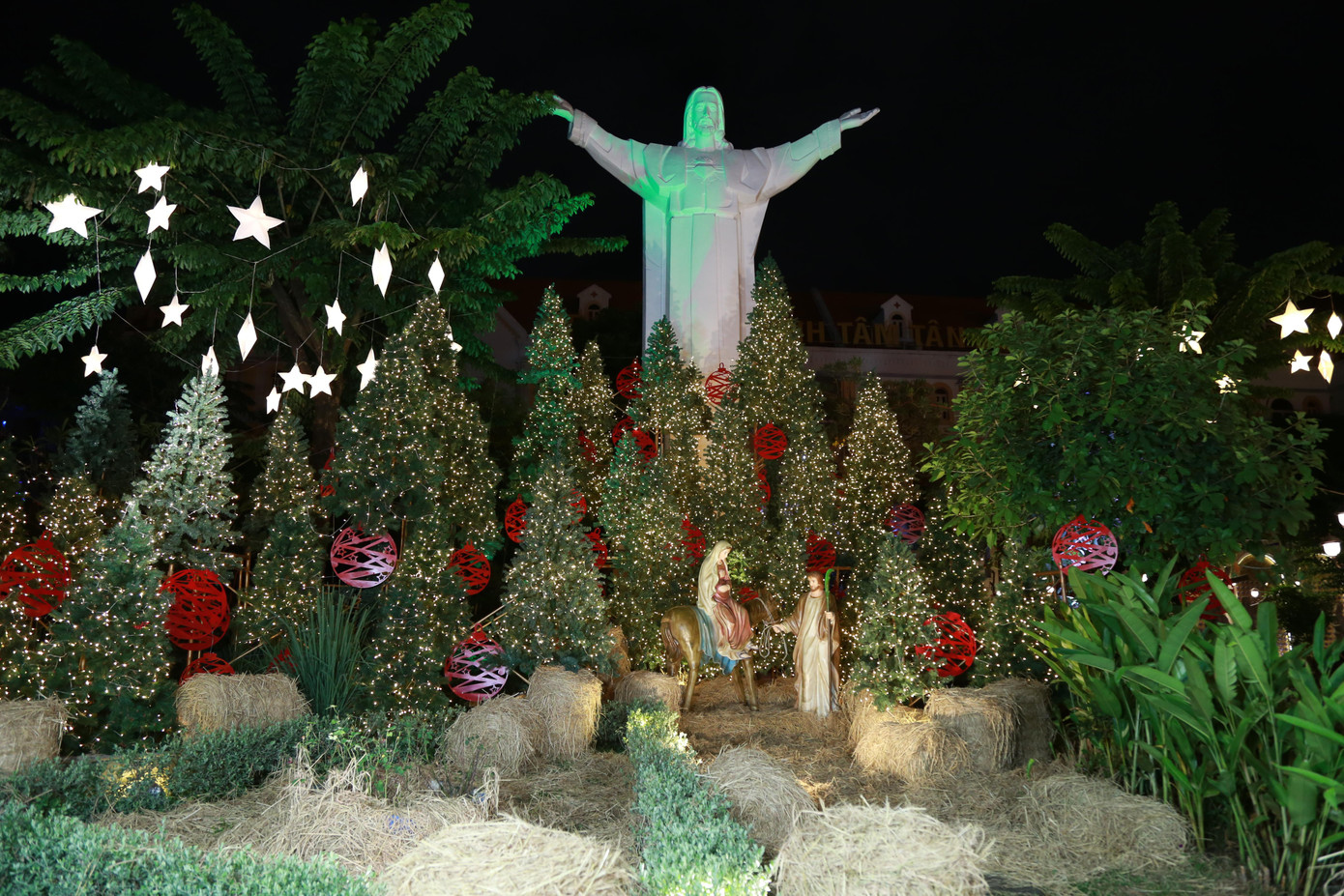 Hàng thông xanh cùng tượng Chúa bên trong khuôn viên nhà thờ.