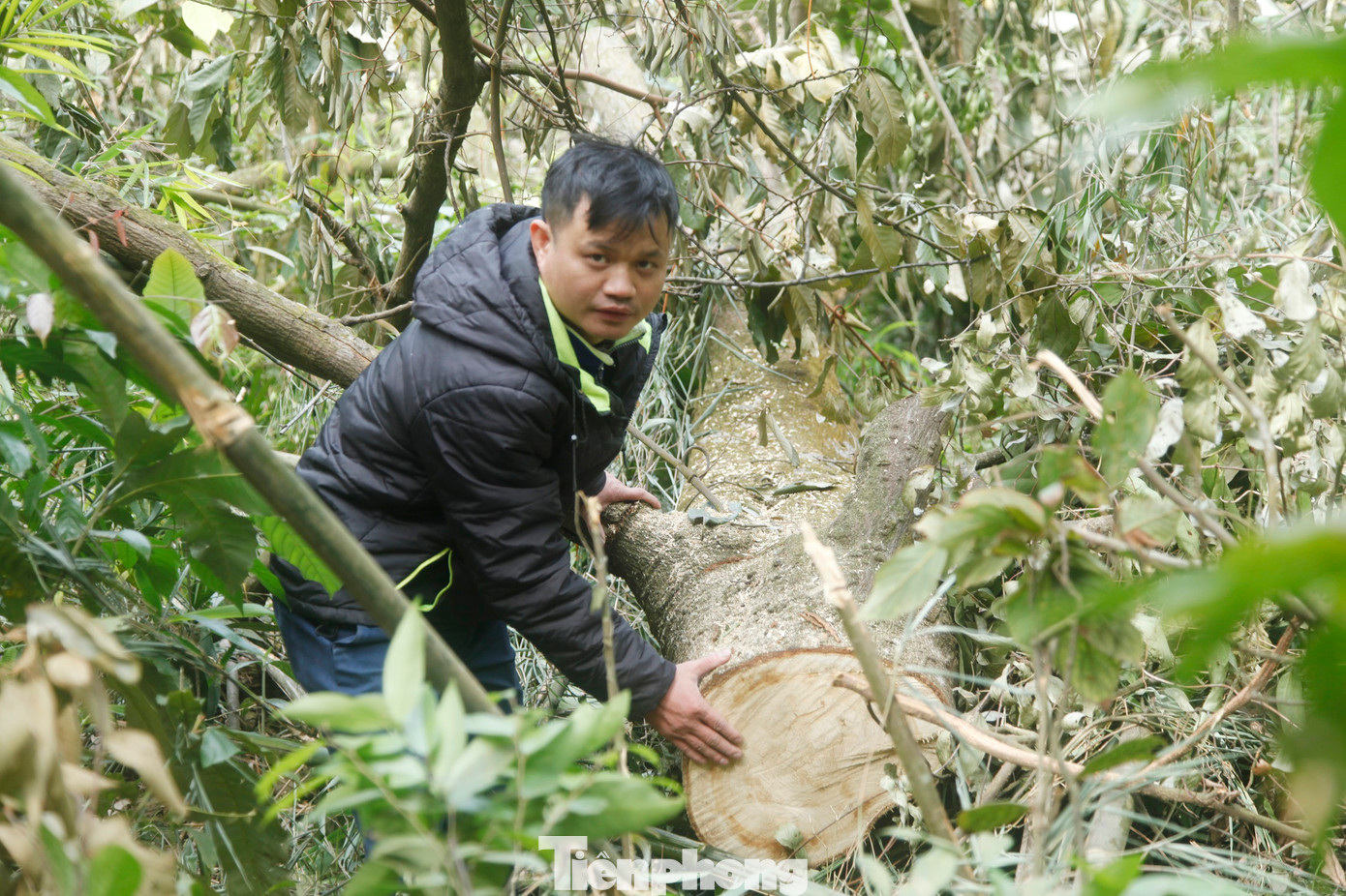 Phóng viên thường trú báo Tiền Phong tại Bắc Giang tác nghiệp điều tra chặt phá rừng Tây Yên Tử (huyện Sơn Động, tỉnh Bắc Giang)