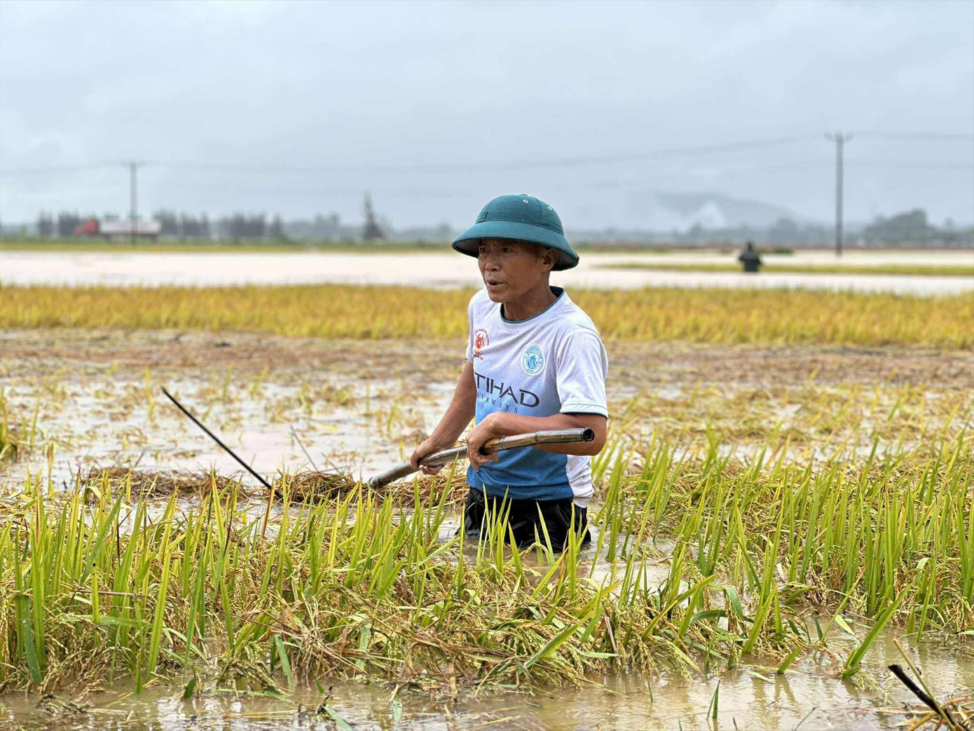 Người dân Hà Tĩnh lội nước lũ cứu lúa. Ảnh: Phạm Trường