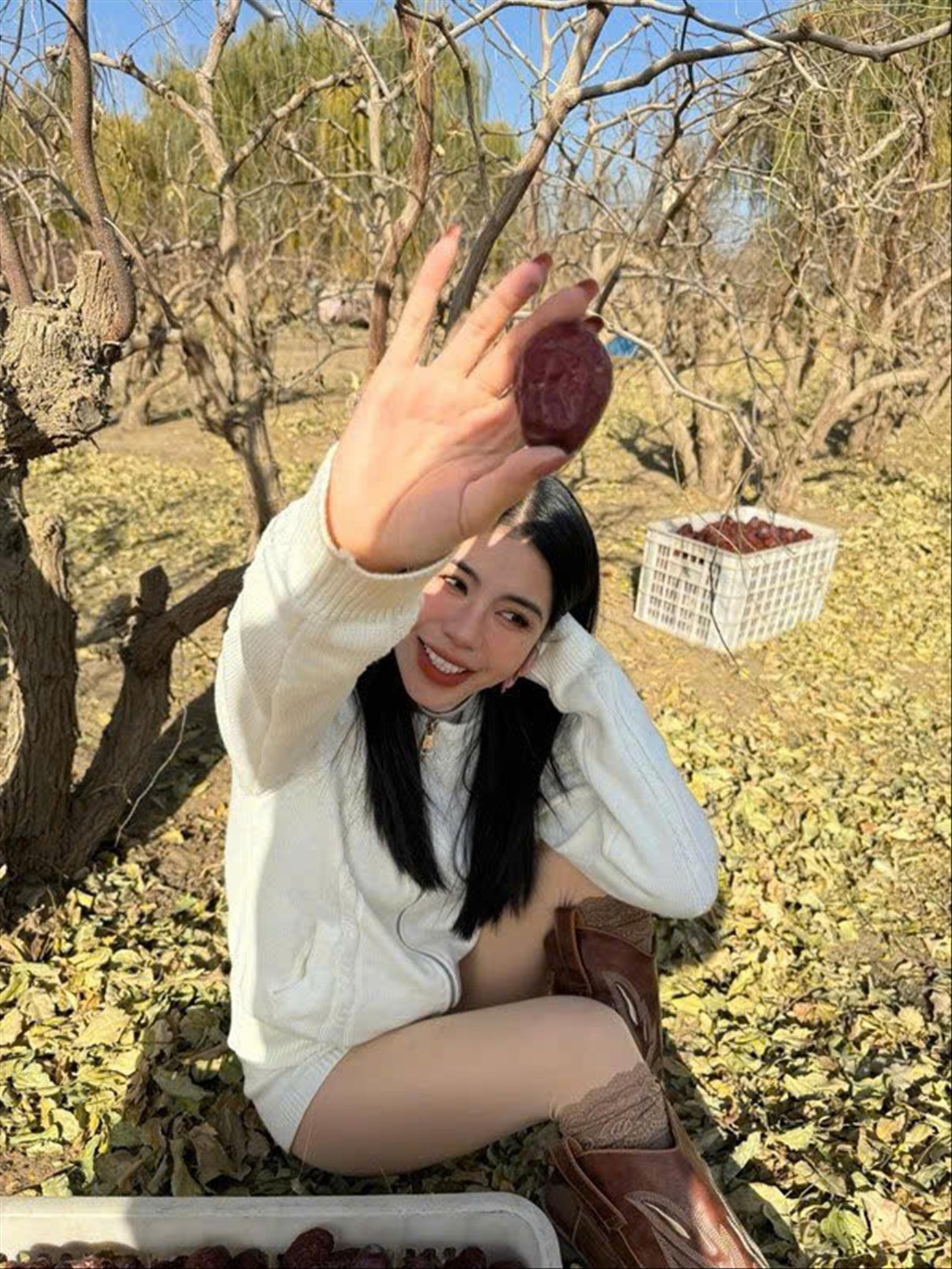 Hằng Du Mục bán cả tấn táo đỏ trong vài phút. Hằng Du Mục bán cả tấn táo đỏ trong vài phút.