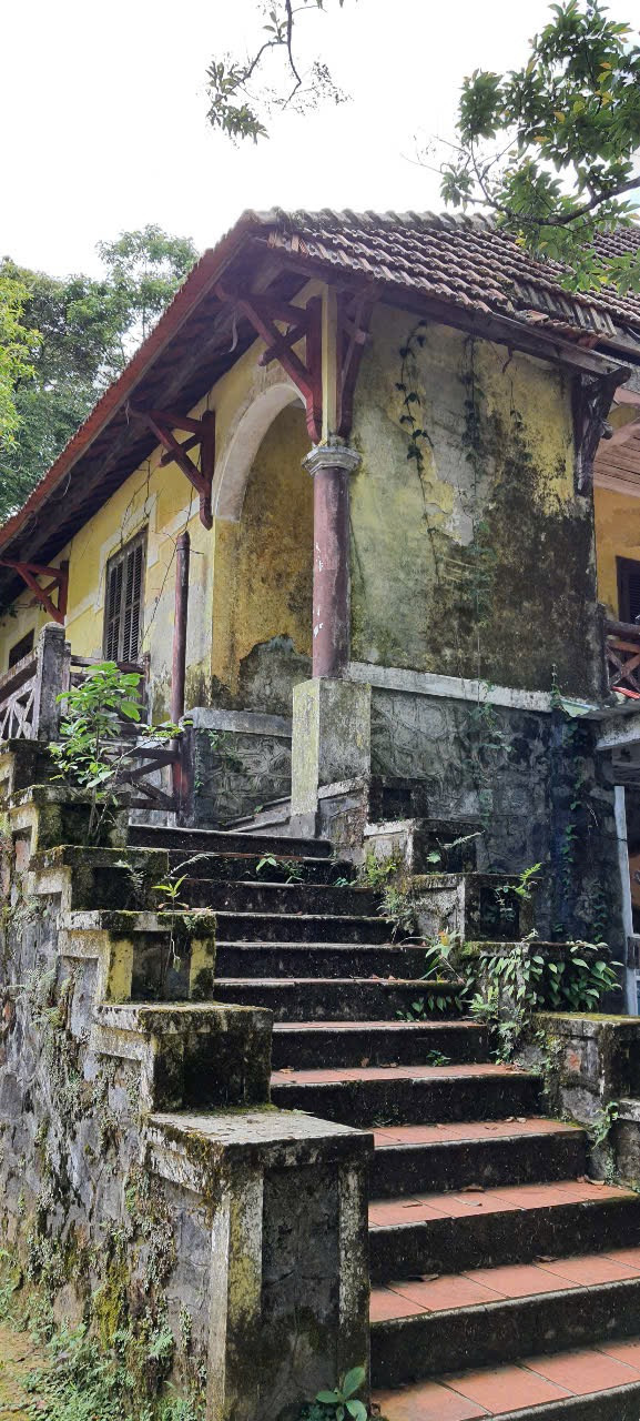 Biệt thự hoang phế.