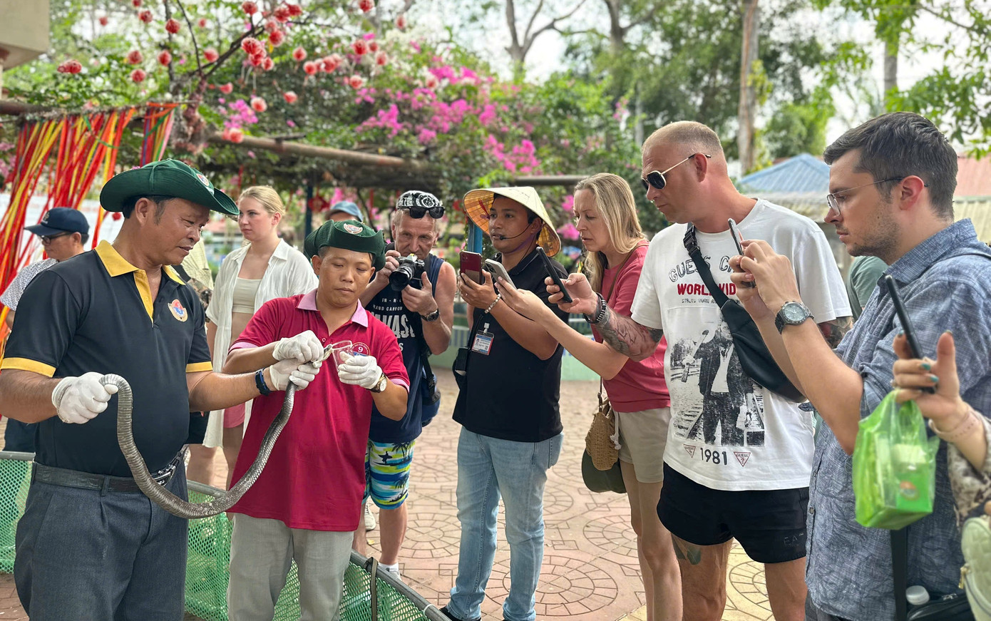 Biểu diễn lấy nọc rắn Biểu diễn lấy nọc rắn