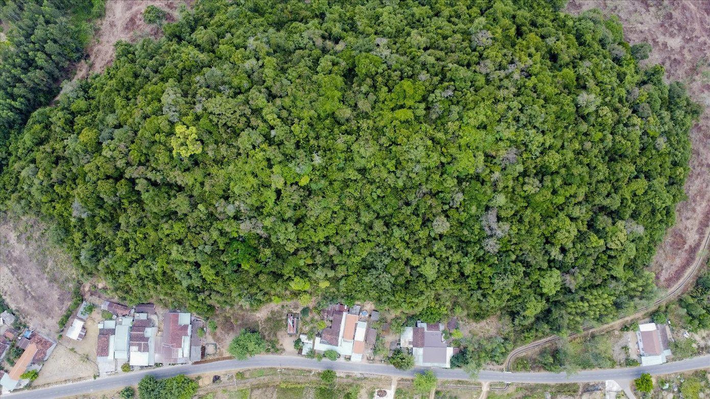 Hòn Cấm vẫn uy nghiêm tồn tại hàng trăm năm nay theo kiểu làng trong rừng và rừng giữa làng. Ảnh: Trương Định