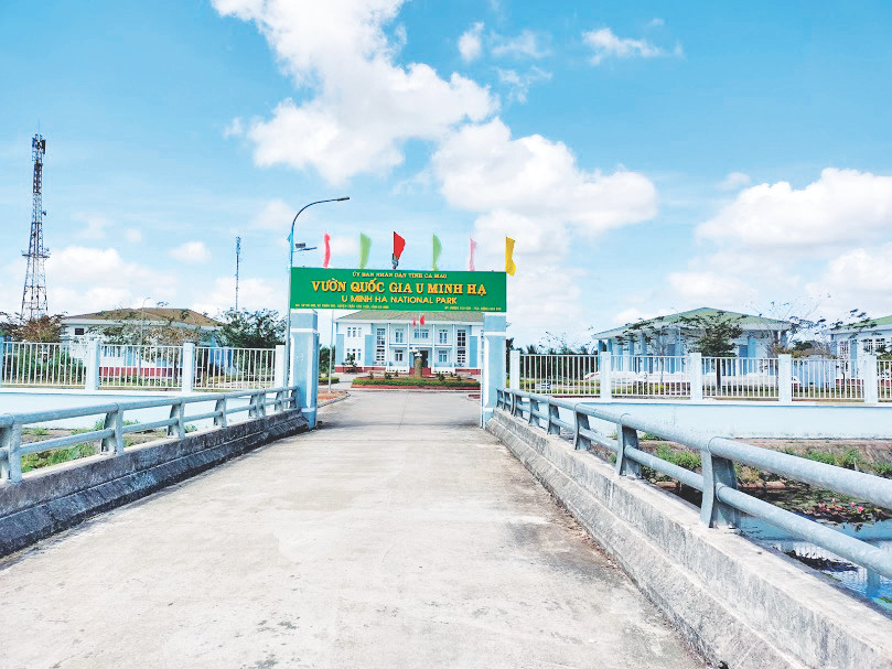 Vườn Quốc gia U Minh Hạ có diện tích tự nhiên hơn 8.500ha, thuộc địa bàn hai huyện Trần Văn Thời và U Minh, tỉnh Cà Mau. Vườn Quốc gia U Minh Hạ có diện tích tự nhiên hơn 8.500ha, thuộc địa bàn hai huyện Trần Văn Thời và U Minh, tỉnh Cà Mau.