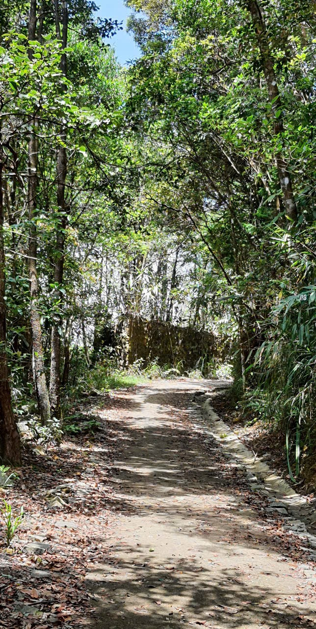 Đường lên Vọng Hải đài.