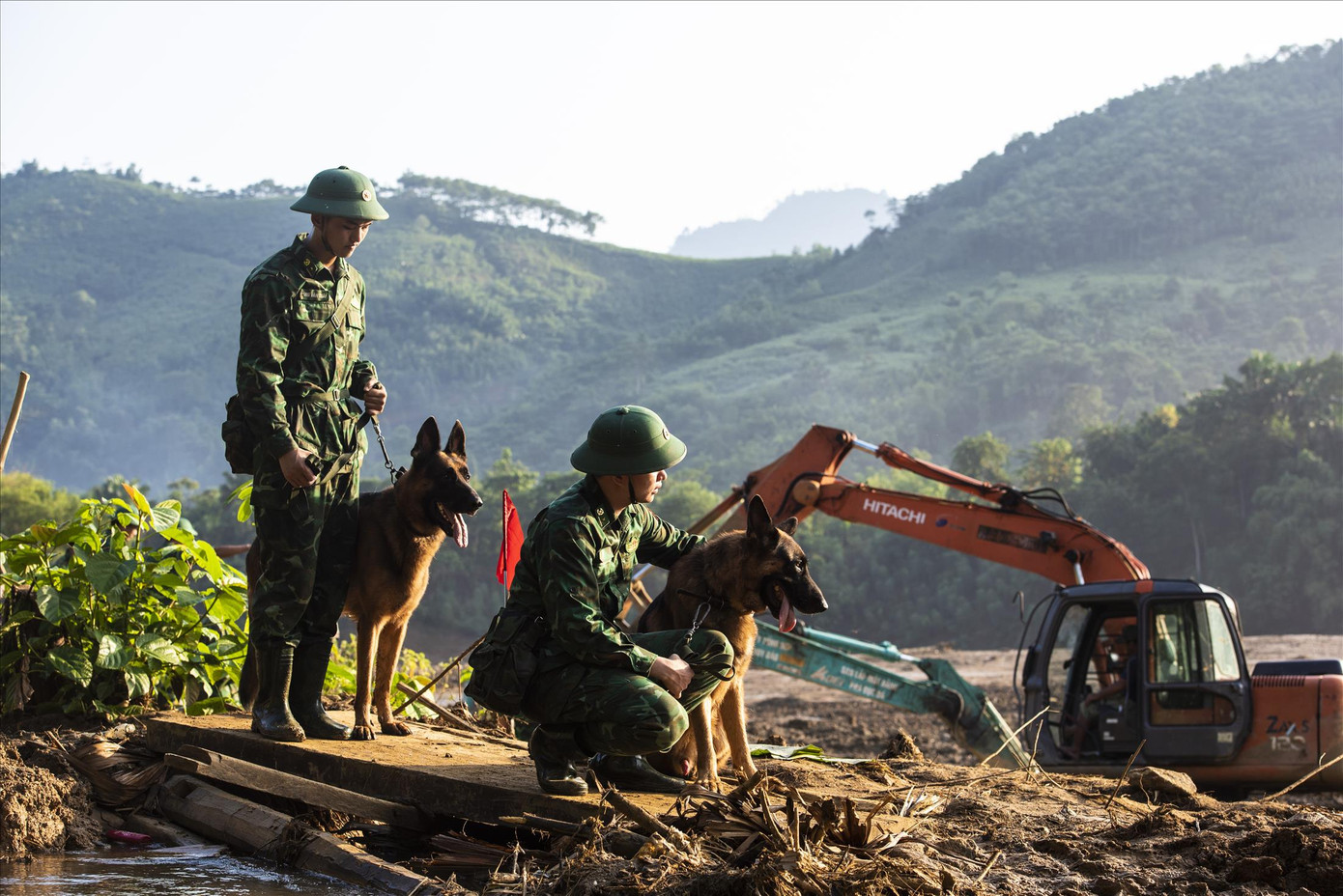 Những chú chó sang Myamar lần này cũng từng làm nhiệm vụ tại thôn Làng Nủ. Ảnh: Văn Chương Những chú chó sang Myamar lần này cũng từng làm nhiệm vụ tại thôn Làng Nủ. Ảnh: Văn Chương