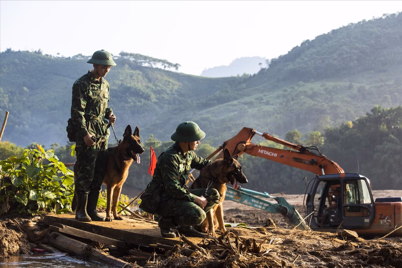 Những chú chó sang Myamar lần này cũng từng làm nhiệm vụ tại thôn Làng Nủ. Ảnh: Văn Chương