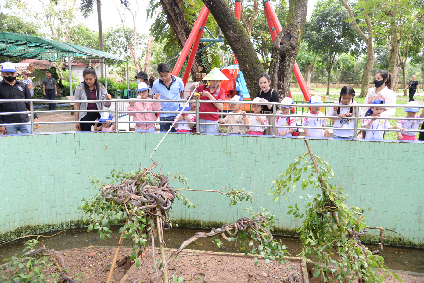 Du khách tham quan các loài rắn tại Trại rắn Đồng Tâm Du khách tham quan các loài rắn tại Trại rắn Đồng Tâm