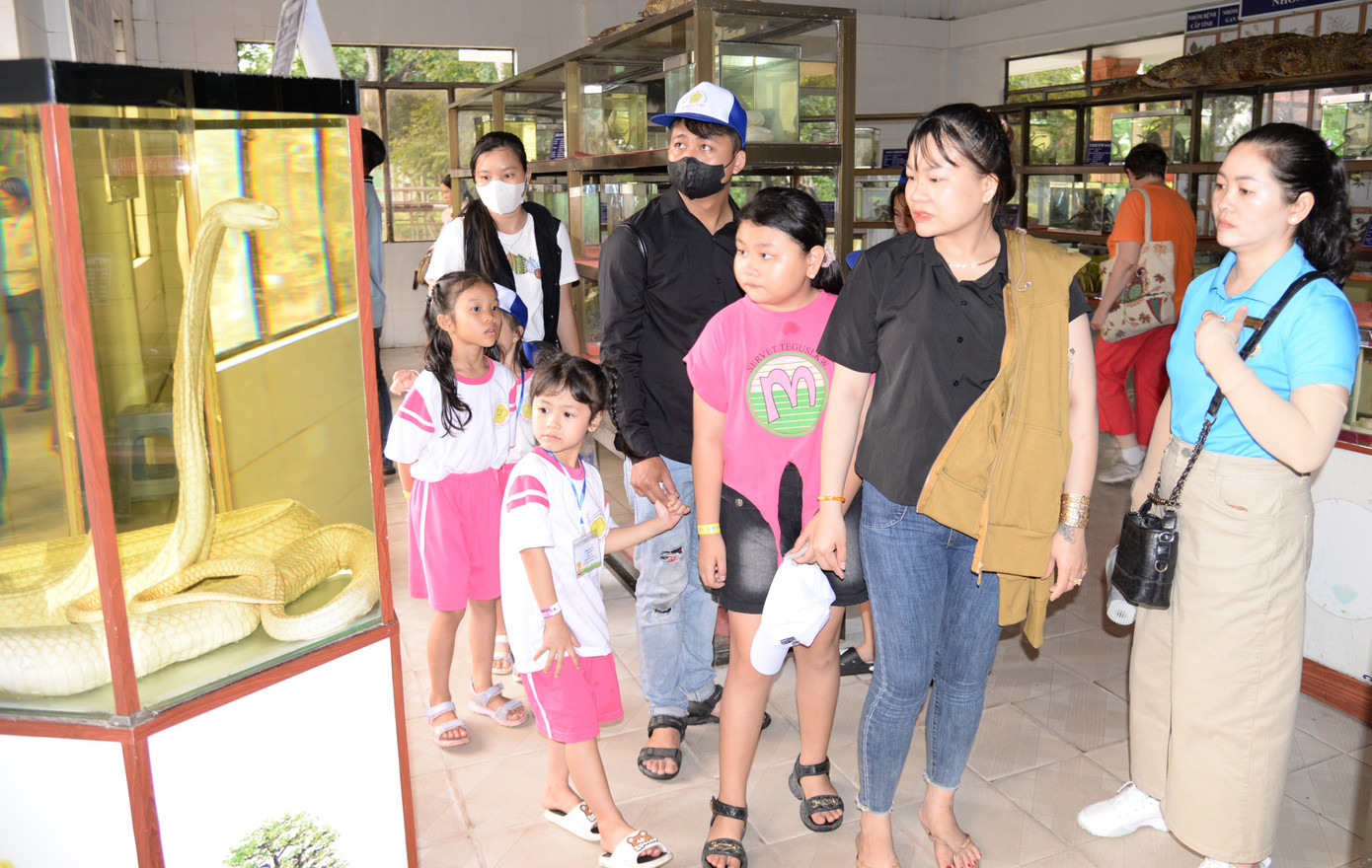 Bảo tàng rắn tại Trại rắn Đồng Tâm trưng bày tiêu bản của gần 50 loài rắn Bảo tàng rắn tại Trại rắn Đồng Tâm trưng bày tiêu bản của gần 50 loài rắn