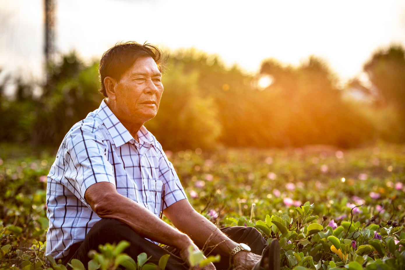 Ông Trần Thanh Phong, người sáng tác nhiều vở tuồng chèo và làm thơ để gìn giữ nét xưa cù lao Khoai Xứ. Ảnh: Văn Chương