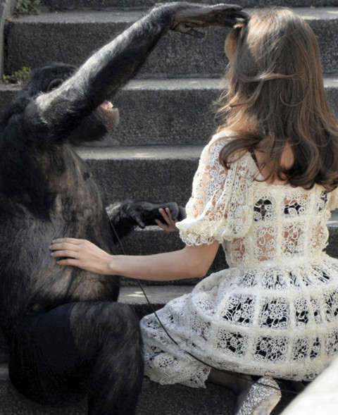 Bạn diễn của cô là một chú vượn rất dễ thương và tinh nghịch