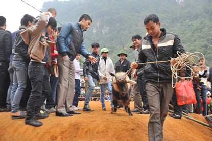 Hội chọi dê có một không hai dịp đầu năm ảnh 2