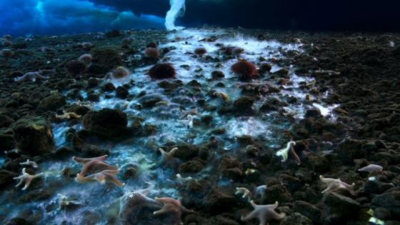 Hiện tượng băng tuyết đẹp lạ lùng của thiên nhiên ảnh 2