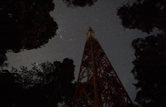 Xây tháp quan sát chọc trời giữa rừng Amazon ảnh 4