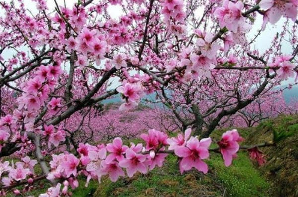 Những chốn bồng lai có thật trong "Tiếu ngạo giang hồ" ảnh 3 Những chốn bồng lai có thật trong "Tiếu ngạo giang hồ" ảnh 3