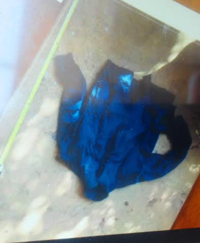 Vụ thảm sát ở Gia Lai: Hung thủ đã từng vào nhà nạn nhân? ảnh 2