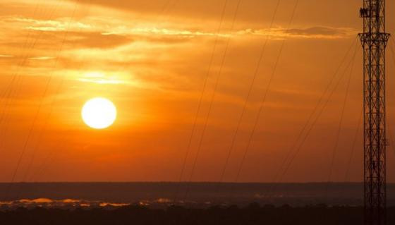 Xây tháp quan sát chọc trời giữa rừng Amazon ảnh 8