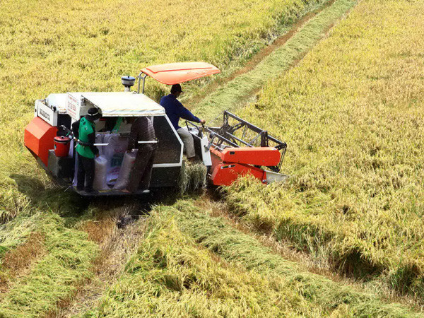 Giữ đất la phải giao cho từng địa phương trn thực địa Ảnh: Duy Khương