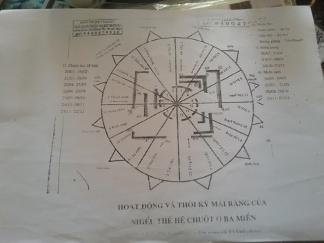 'Vua diệt chuột' và sáng kiến độc nhất vô nhị ảnh 3