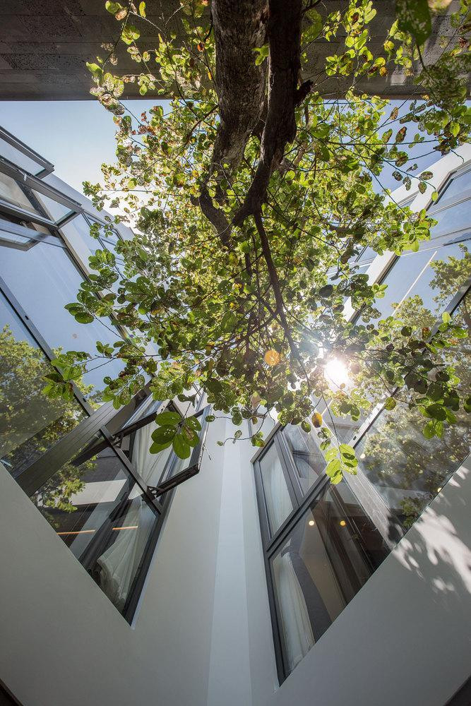 Điểm đặc trưng của thiết kế là khoảng sân giữa có nhiều cây xanh tạo sinh khí và cung cấp ánh sáng, đảm bảo sự thông thoáng tối đa cho ngôi nhà. Bên cạnh đó, yếu tố thông gió cũng đặc biệt được quan tâm để giúp ngôi nhà tránh được ẩm thấp – yếu tố không tốt cho sức khỏe của gia đình, đặc biệt là bố của chủ nhà.