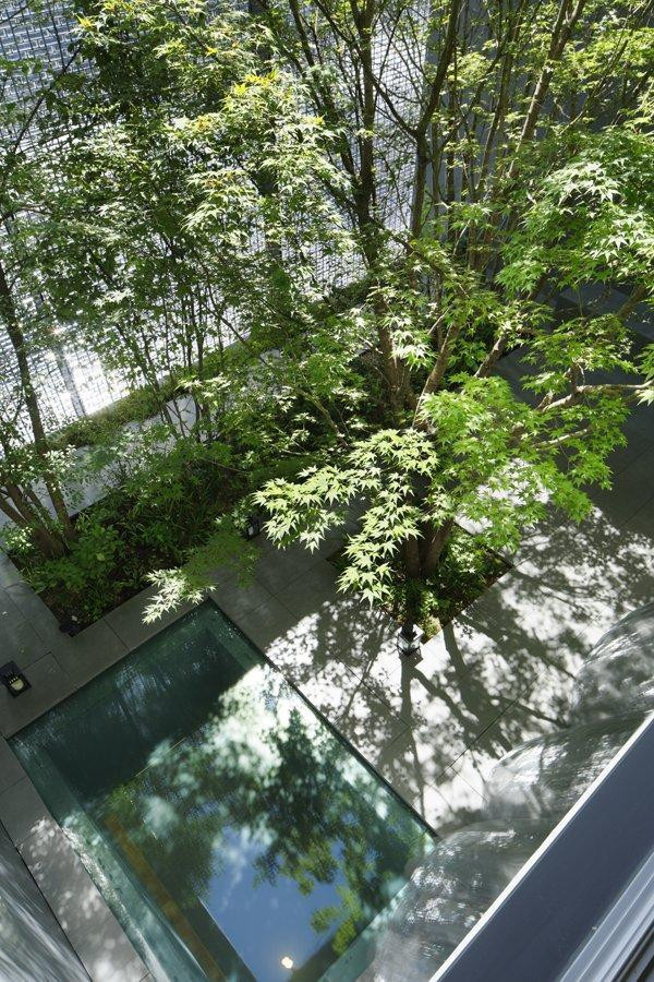 Do đó, các kiến trúc sư của Hiroshi Nakamura &amp; NAP đã thiết kế một ngôi nhà kính quang học nằm giữa những tòa nhà cao tầng ở trung tâm thành phố Hiroshima để khắc phục điều trên.